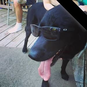 Meet your Posher, Kendall